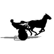 vector silhouette of horse and jockey N6