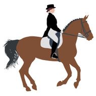 vector silhouette of horse and jockey N7