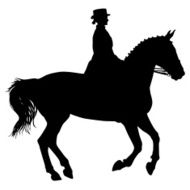 vector silhouette of horse and jockey N8