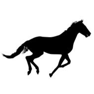 silhouette of black mustang horse vector illustration
