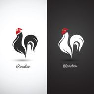 Rooster N12
