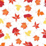 Autumn leaves and ashberry seamless vector pattern N2