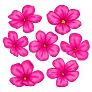 Beautiful Vector flowers set Colorful floral collection with pink flowers N2