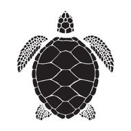 Graphic sea turtle