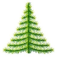 Composition of pine branches in shape christmas tree