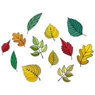 Different leaves vector illustration