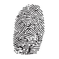 Fingerprint N6