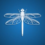 Dragonfly N12
