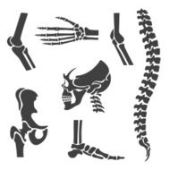 Human joints vector set Orthopedic and spine symbols