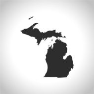 Michigan Map N3