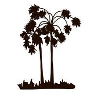 rain forest palm tree silhouettes