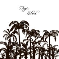 rain forest palm tree silhouettes N5