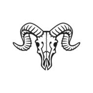 Ram skull N2