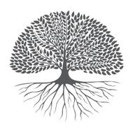 Black and white drawing of deciduous tree silhouette