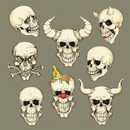 collection of skulls