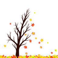 Lovely windy autumn season maple tree silhouette with leaves