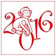 Monkey on white background 1