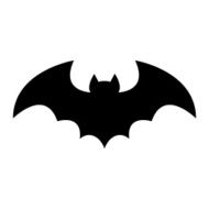 Bat N5