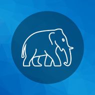 Elephant Icon N12