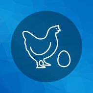 Hen with egg