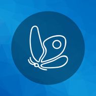 butterfly N97