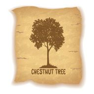 Chestnut Tree on Old Paper