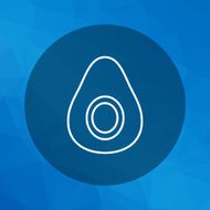 Avocado N2