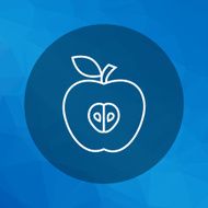 Apple Icon N22