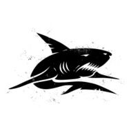 Shark N8
