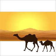 Desert N3
