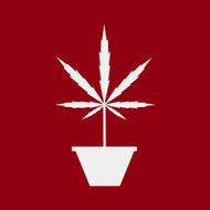 Marijuana silhouette