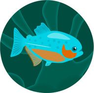 Aquarium fish Piranha