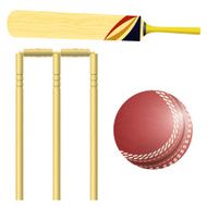 Items for cricket