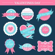 love romantic set retro label template of emblem element