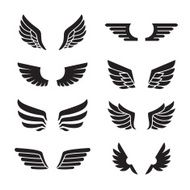 Wings black icons vector set Minimalistic design