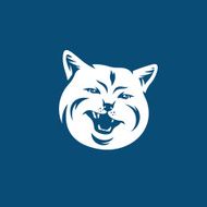 Cat head face Vector Illustration N5