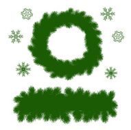 spruce branches