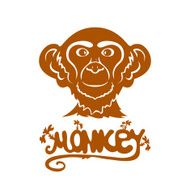 Head of monkey N2