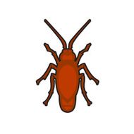 cockroach in pure style emblem N2