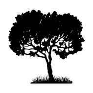 Tree and grass silhouette