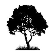 Tree and grass silhouette N2