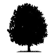 Tree and grass silhouette N3