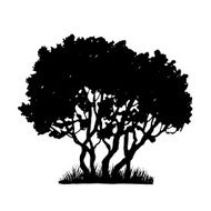 Tree and grass silhouette N5