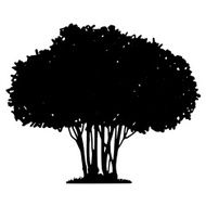 Tree and grass silhouette N6