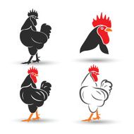Cock N2