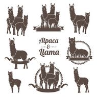 Alpaca and llamas emblems collection