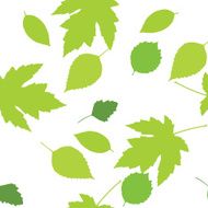 Leaves N88