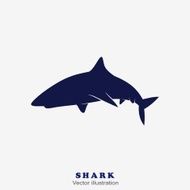Shark on a gray background Vector Illustration
