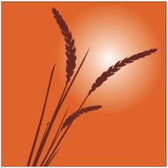 Grass and Wheat Plant Vector Illustration