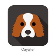 Cayalier dog face flat icon series